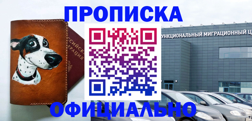 временная прописка в Лосино-Петровском